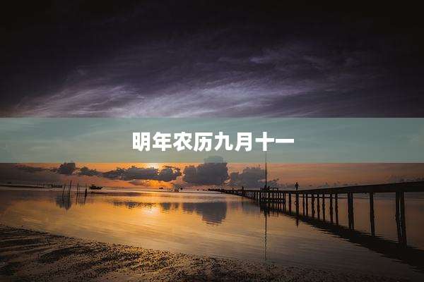 明年农历九月十一