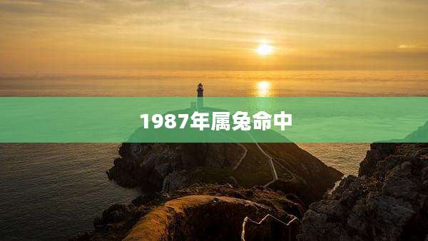 1987年属兔命中