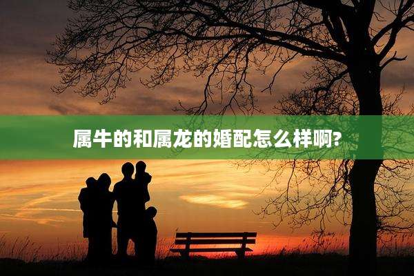 属牛的和属龙的婚配怎么样啊?