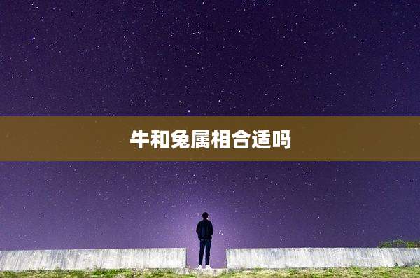 牛和兔属相合适吗