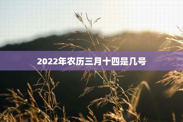 2022年农历三月十四是几号