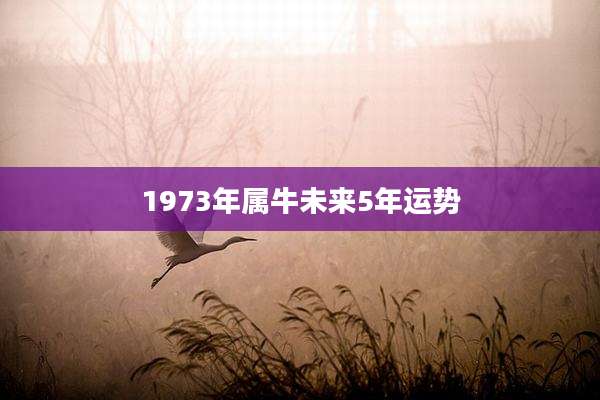 1973年属牛未来5年运势