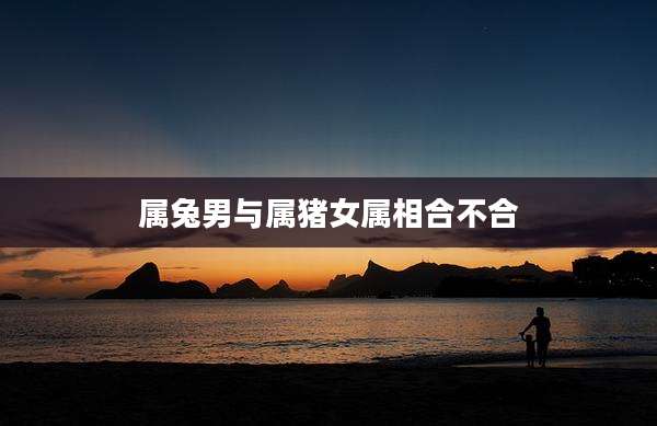 属兔男与属猪女属相合不合