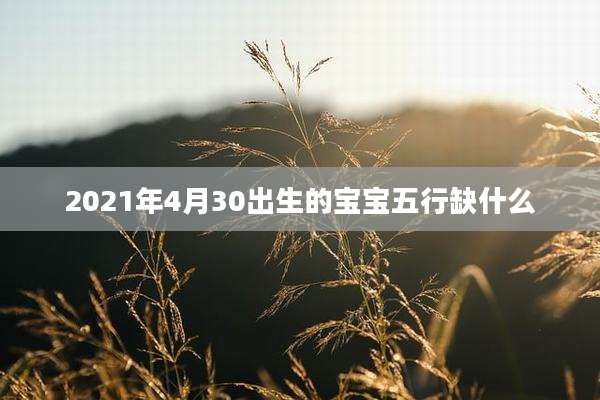 2021年4月30出生的宝宝五行缺什么