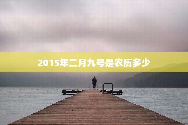 2015年二月九号是农历多少
