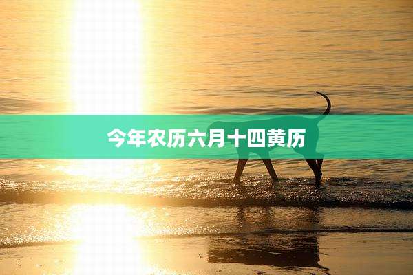 今年农历六月十四黄历