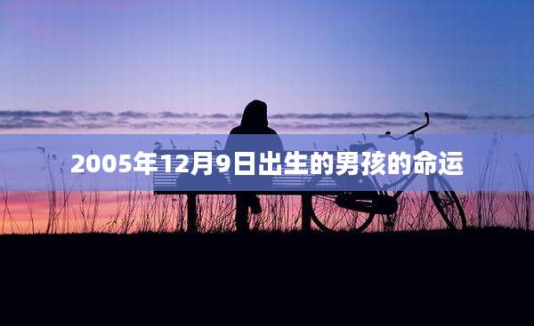 2005年12月9日出生的男孩的命运