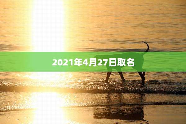 2021年4月27日取名