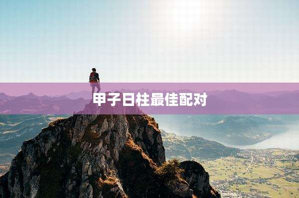 甲子日柱最佳配对