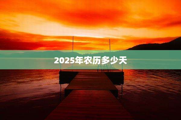 2025年农历多少天