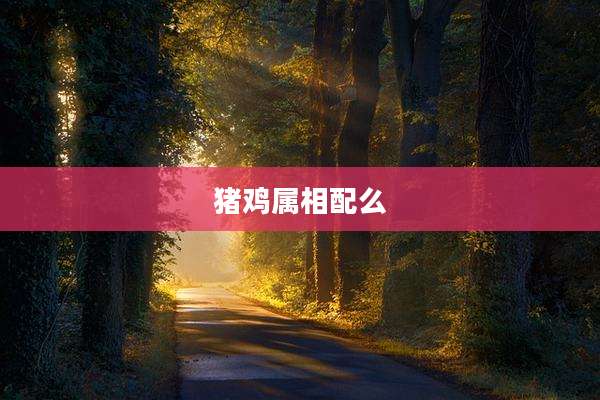 猪鸡属相配么