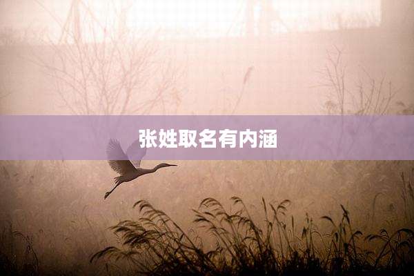 张姓取名有内涵