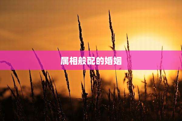 属相般配的婚姻