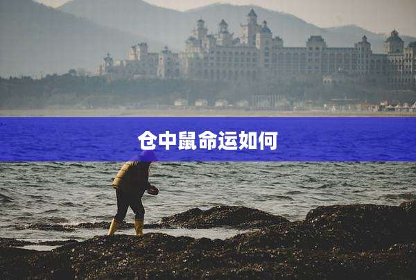仓中鼠命运如何