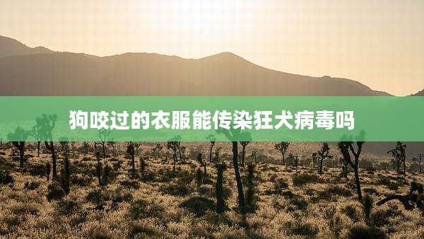 狗咬过的衣服能传染狂犬病毒吗
