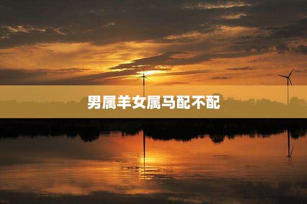 男属羊女属马配不配
