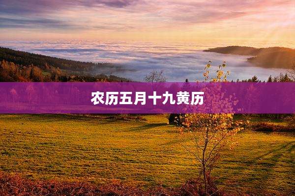 农历五月十九黄历