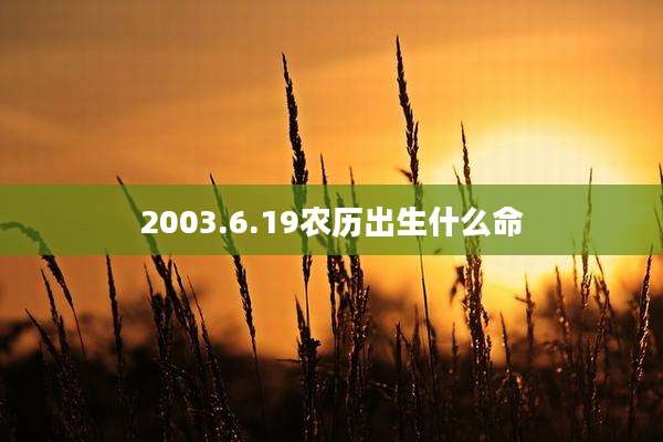 2003.6.19农历出生什么命