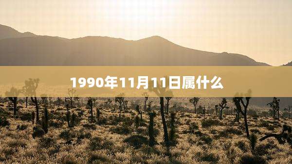 1990年11月11日属什么
