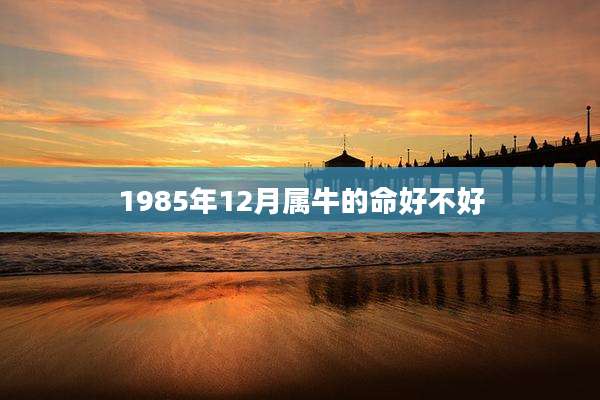 1985年12月属牛的命好不好