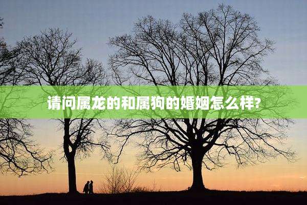 请问属龙的和属狗的婚姻怎么样?