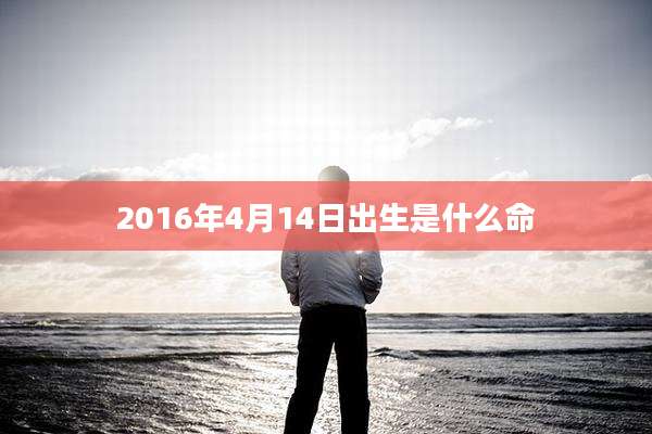 2016年4月14日出生是什么命