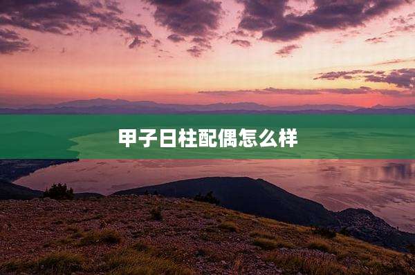 甲子日柱配偶怎么样