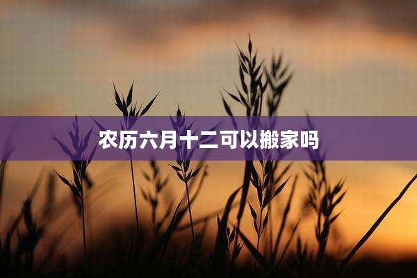 农历六月十二可以搬家吗