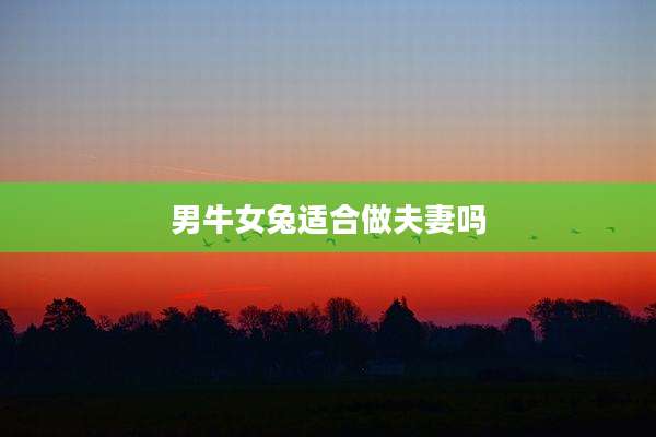 男牛女兔适合做夫妻吗