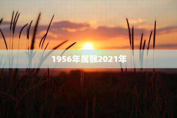 1956年属猴2021年