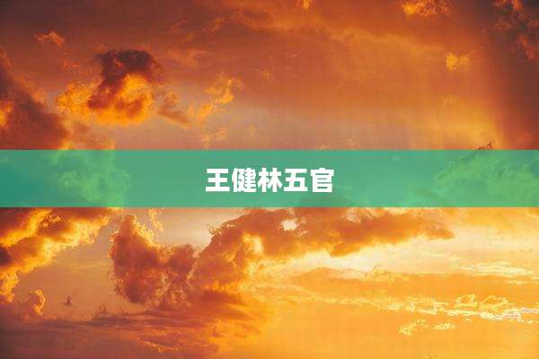王健林五官