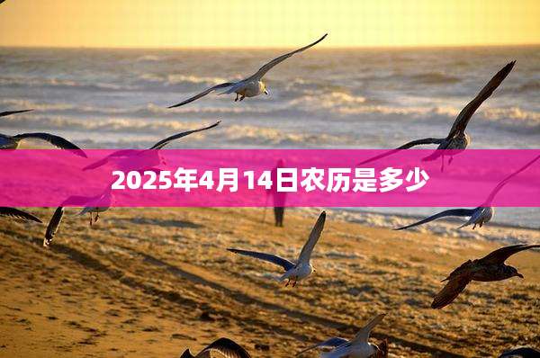 2025年4月14日农历是多少