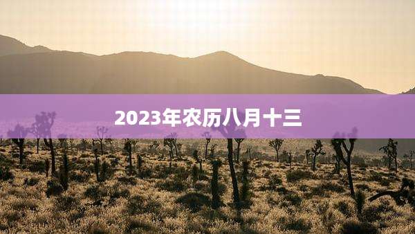 2023年农历八月十三
