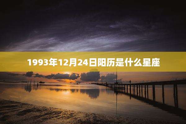 1993年12月24日阳历是什么星座