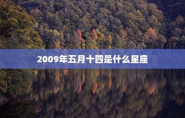 2009年五月十四是什么星座