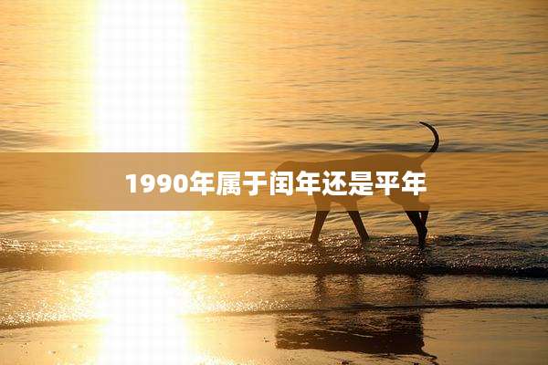 1990年属于闰年还是平年