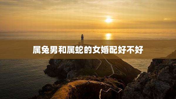 属兔男和属蛇的女婚配好不好