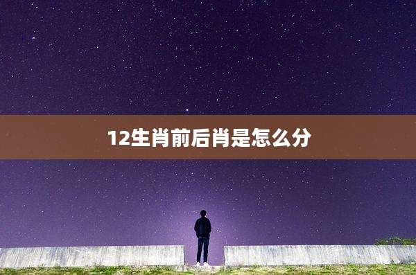 12生肖前后肖是怎么分