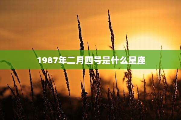 1987年二月四号是什么星座