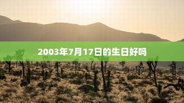 2003年7月17日的生日好吗