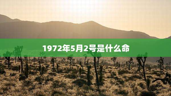 1972年5月2号是什么命