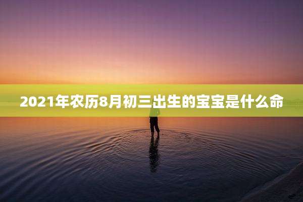 2021年农历8月初三出生的宝宝是什么命