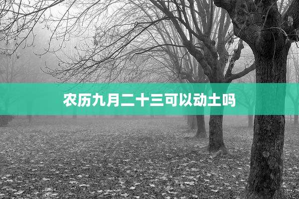 农历九月二十三可以动土吗