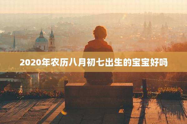 2020年农历八月初七出生的宝宝好吗