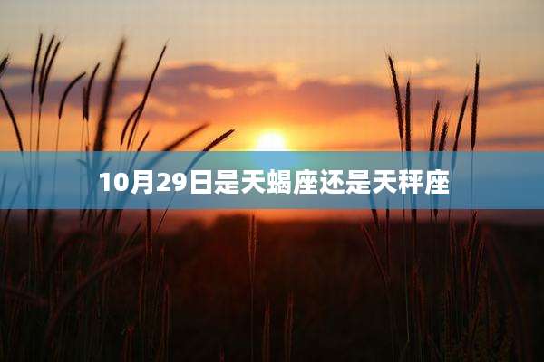 10月29日是天蝎座还是天秤座