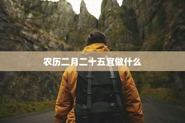 农历二月二十五宜做什么
