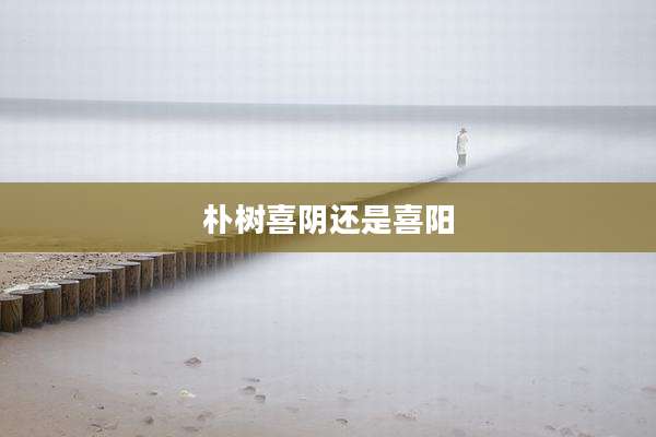 朴树喜阴还是喜阳