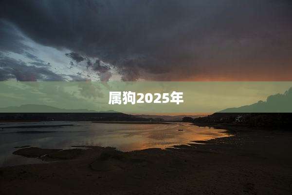 属狗2025年
