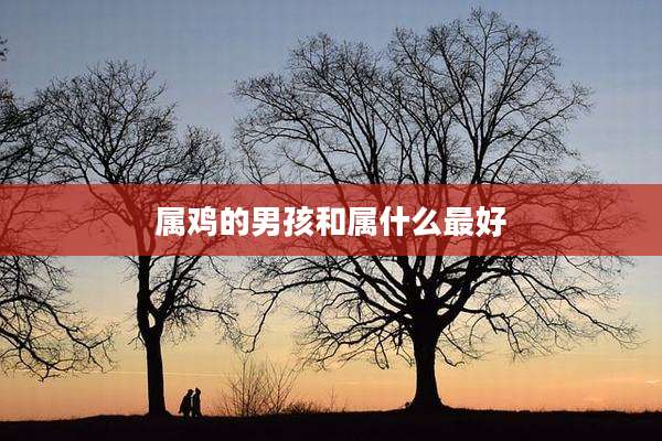 属鸡的男孩和属什么最好