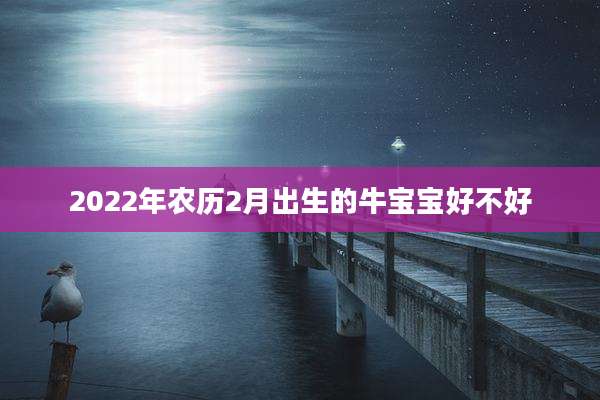 2022年农历2月出生的牛宝宝好不好